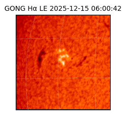 gong - 2025-12-15T06:00:42