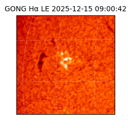 gong - 2025-12-15T09:00:42