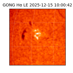 gong - 2025-12-15T10:00:42