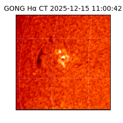 gong - 2025-12-15T11:00:42