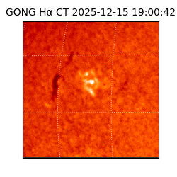 gong - 2025-12-15T19:00:42