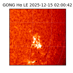 gong - 2025-12-15T02:00:42