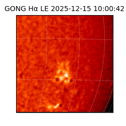 gong - 2025-12-15T10:00:42