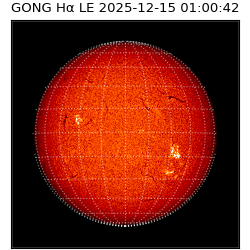 gong - 2025-12-15T01:00:42