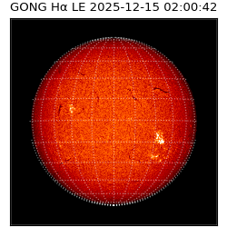 gong - 2025-12-15T02:00:42