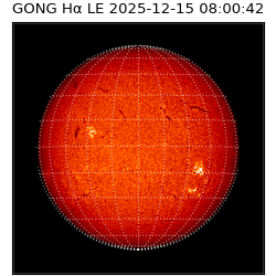 gong - 2025-12-15T08:00:42