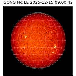 gong - 2025-12-15T09:00:42