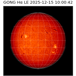 gong - 2025-12-15T10:00:42