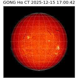 gong - 2025-12-15T17:00:42