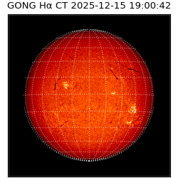 gong - 2025-12-15T19:00:42