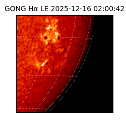 gong - 2025-12-16T02:00:42