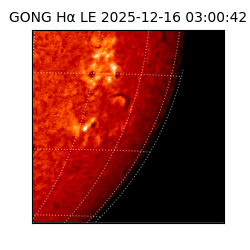 gong - 2025-12-16T03:00:42