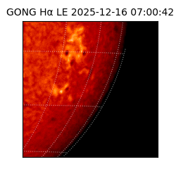 gong - 2025-12-16T07:00:42