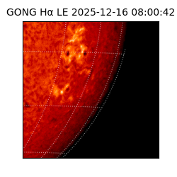 gong - 2025-12-16T08:00:42