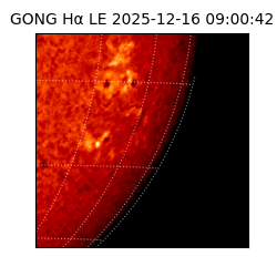 gong - 2025-12-16T09:00:42