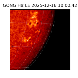 gong - 2025-12-16T10:00:42