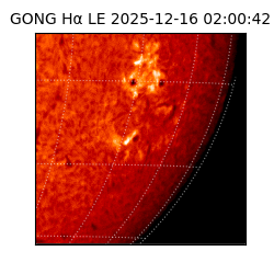 gong - 2025-12-16T02:00:42