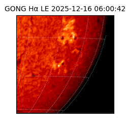 gong - 2025-12-16T06:00:42