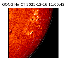gong - 2025-12-16T11:00:42