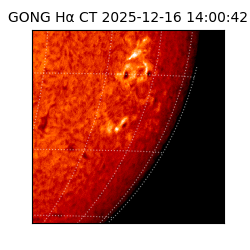 gong - 2025-12-16T14:00:42