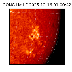 gong - 2025-12-16T01:00:42