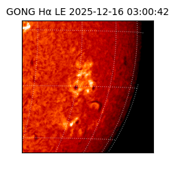 gong - 2025-12-16T03:00:42
