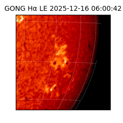 gong - 2025-12-16T06:00:42