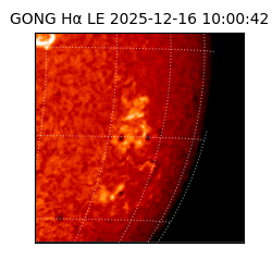 gong - 2025-12-16T10:00:42