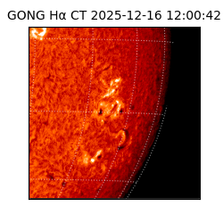 gong - 2025-12-16T12:00:42