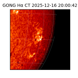 gong - 2025-12-16T20:00:42