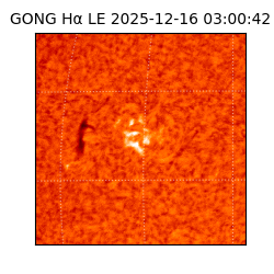 gong - 2025-12-16T03:00:42