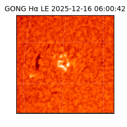 gong - 2025-12-16T06:00:42