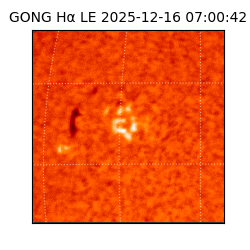 gong - 2025-12-16T07:00:42