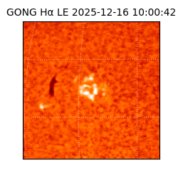 gong - 2025-12-16T10:00:42