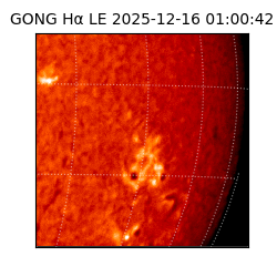 gong - 2025-12-16T01:00:42