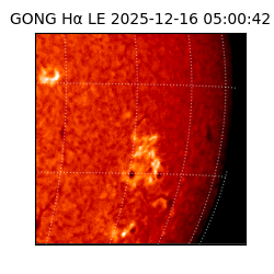 gong - 2025-12-16T05:00:42