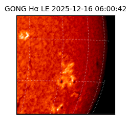 gong - 2025-12-16T06:00:42