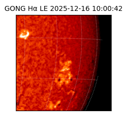 gong - 2025-12-16T10:00:42