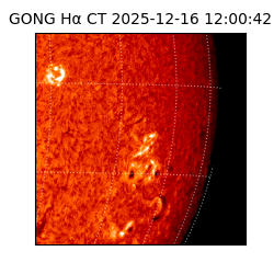 gong - 2025-12-16T12:00:42