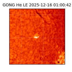 gong - 2025-12-16T01:00:42