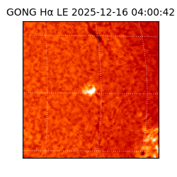 gong - 2025-12-16T04:00:42