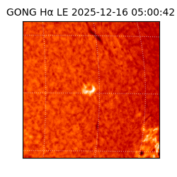 gong - 2025-12-16T05:00:42