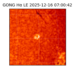 gong - 2025-12-16T07:00:42