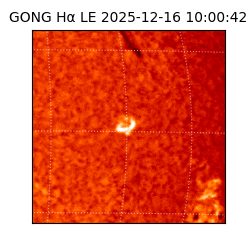 gong - 2025-12-16T10:00:42