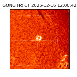 gong - 2025-12-16T12:00:42