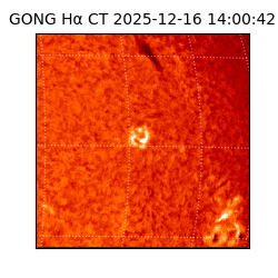 gong - 2025-12-16T14:00:42