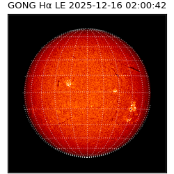gong - 2025-12-16T02:00:42