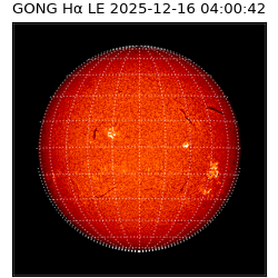 gong - 2025-12-16T04:00:42