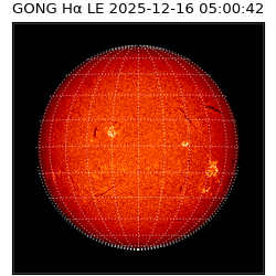 gong - 2025-12-16T05:00:42