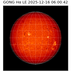 gong - 2025-12-16T06:00:42